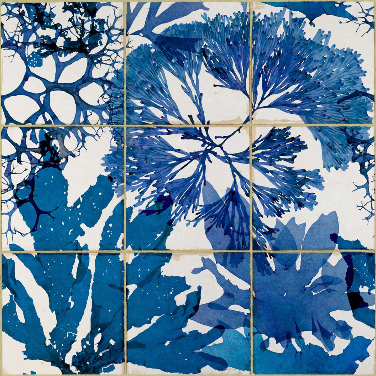 Algae in Blue Wallpaper by MIND THE GAP