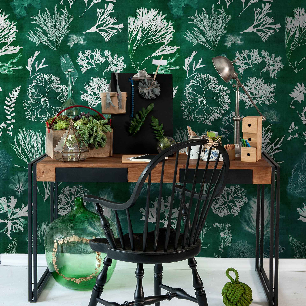 Algae Wallpaper by MIND THE GAP