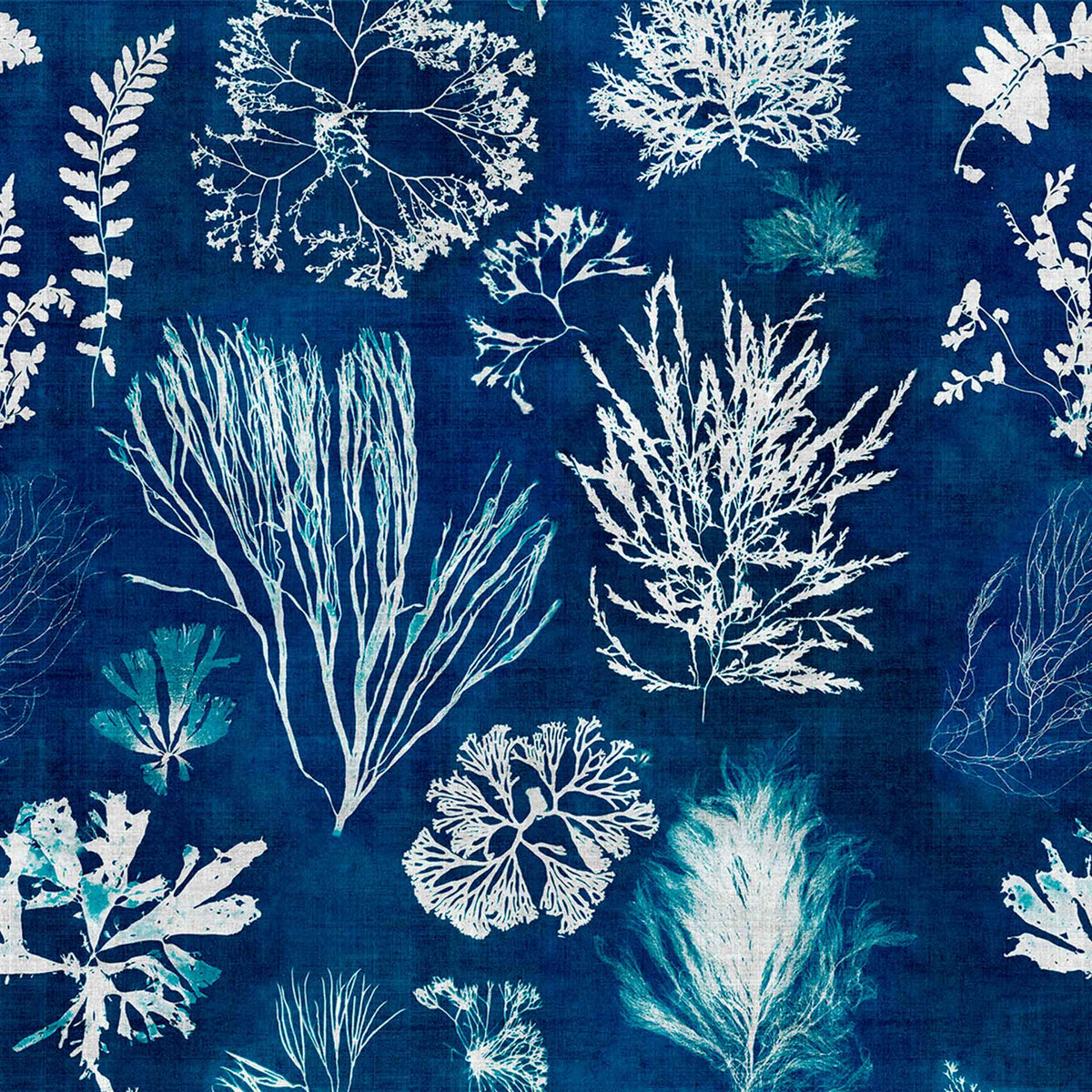 Algae Wallpaper by MIND THE GAP