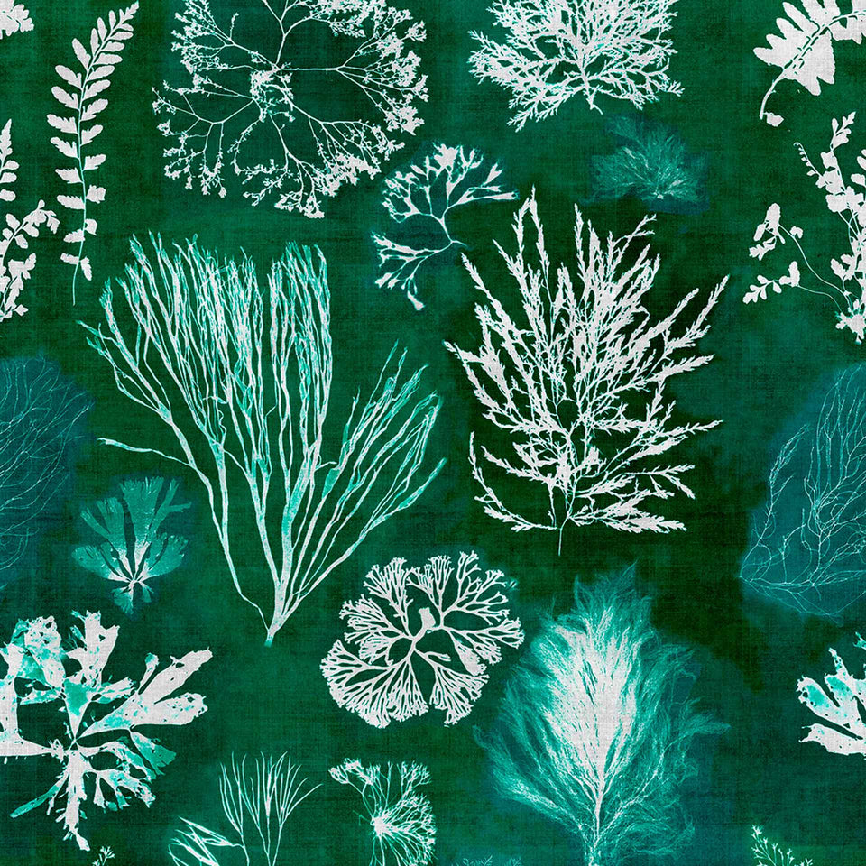 Algae Wallpaper by MIND THE GAP