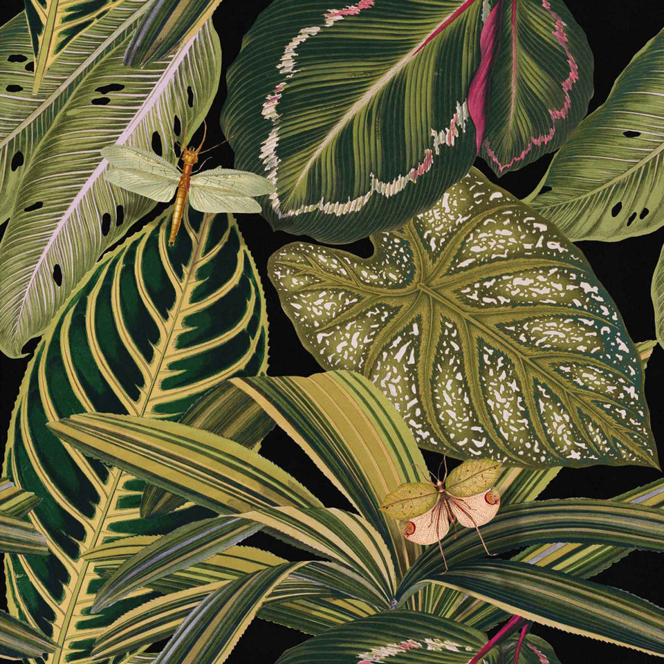 Amazonia Wallpaper by MIND THE GAP