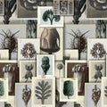 Blossfeldt's Art Forms Wallpaper by MINDTHEGAP