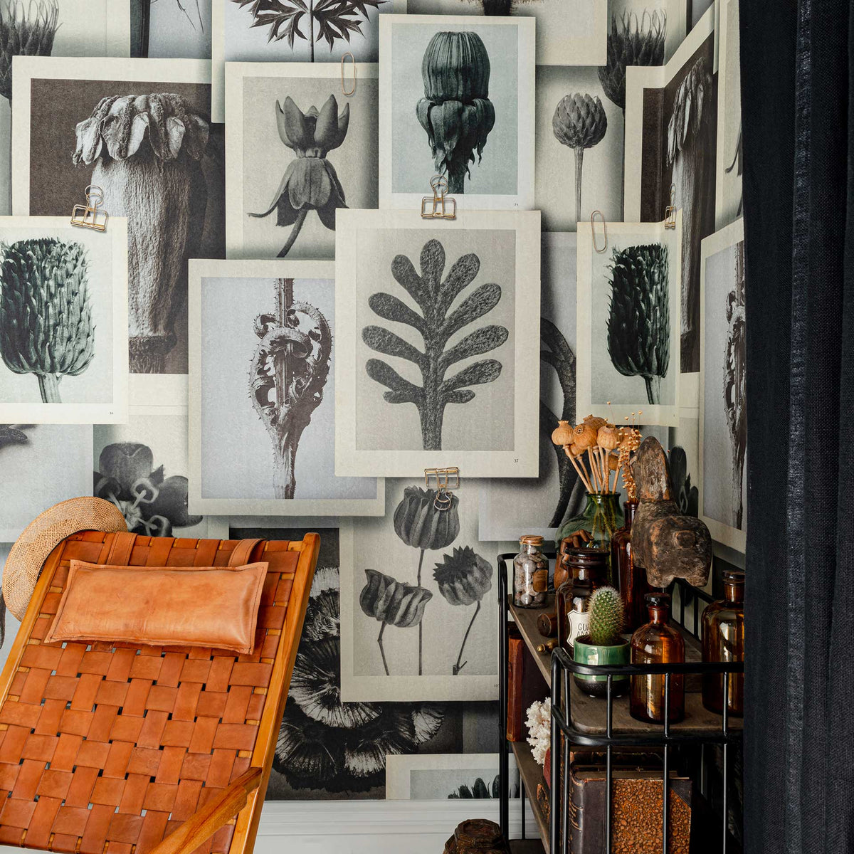 Blossfeldt's Art Forms Wallpaper by MINDTHEGAP