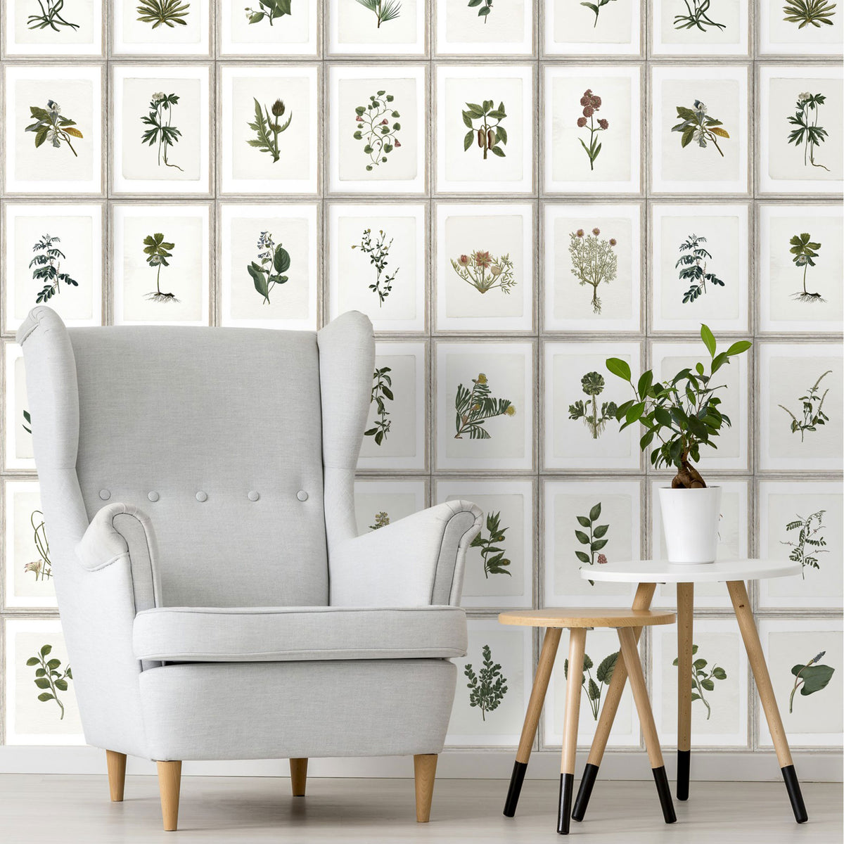 Botany Wallpaper by MINDTHEGAP