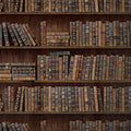 Book Shelves Wallpaper by MINDTHEGAP