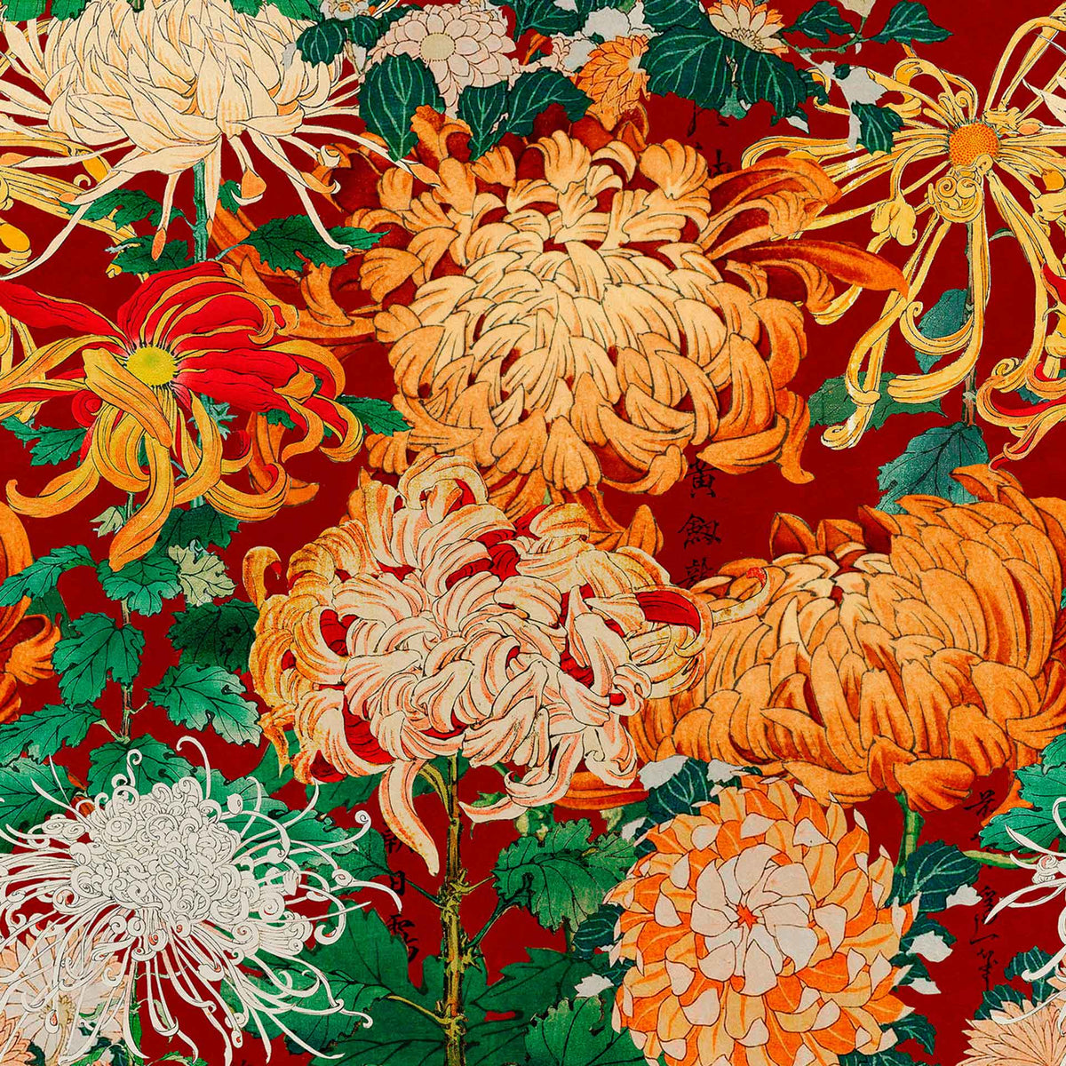 Chrysanthemums Wallpaper by MINDTHEGAP