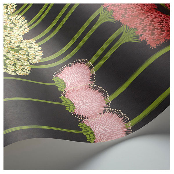 Allium in Coral & Leaf Green on Charcoal Wallpaper by Cole & Son