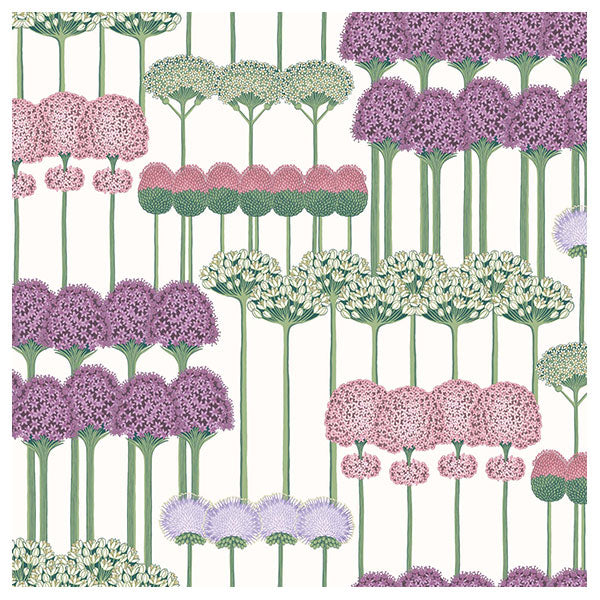Allium in Mulberry, Blush & Lilac on White Wallpaper by Cole & Son