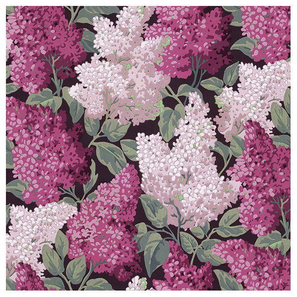 Lilac Grandiflora in Magenta & Blush on Charcoal Wallpaper by Cole & Son