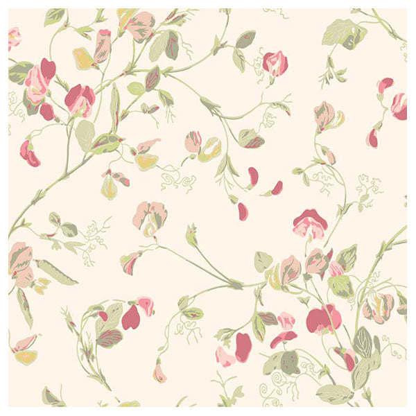 Sweet Pea in Blush & Olive on Cream Wallpaper by Cole & Son