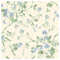 Sweet Pea in Cerulean Sky & Sage on White Wallpaper by Cole & Son