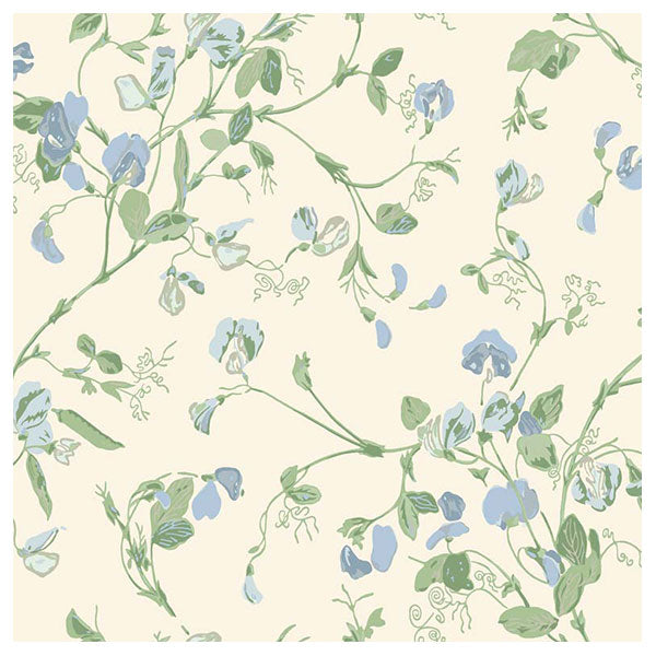 Sweet Pea in Cerulean Sky & Sage on White Wallpaper by Cole & Son