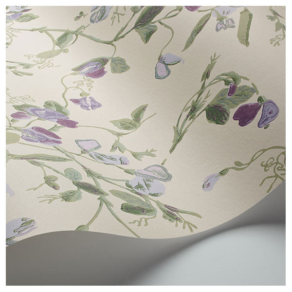 Sweet Pea in Mulberry & Sage on Cream Wallpaper by Cole & Son