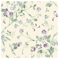 Sweet Pea in Mulberry & Sage on Cream Wallpaper by Cole & Son