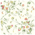 Sweet Pea in Ochre & Rose on Parchment Wallpaper by Cole & Son