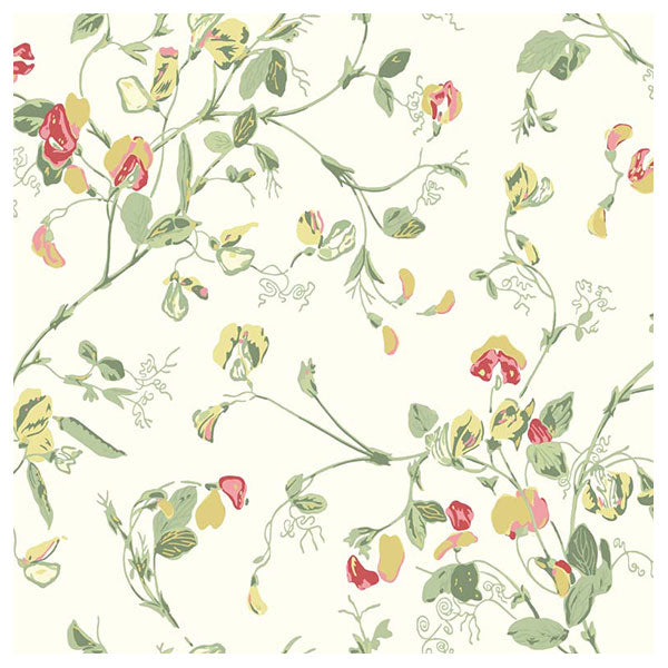 Sweet Pea in Ochre & Rose on Parchment Wallpaper by Cole & Son