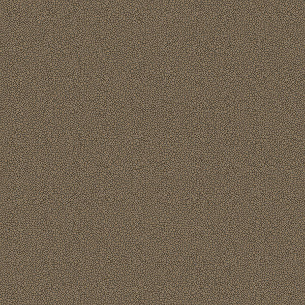 Goldstone in Black & Bronze Wallpaper by Cole & Son