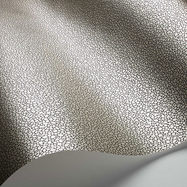 Goldstone in Black & Silver Wallpaper by Cole & Son