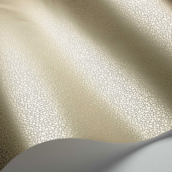 Goldstone in Stone & Gilver Wallpaper by Cole & Son