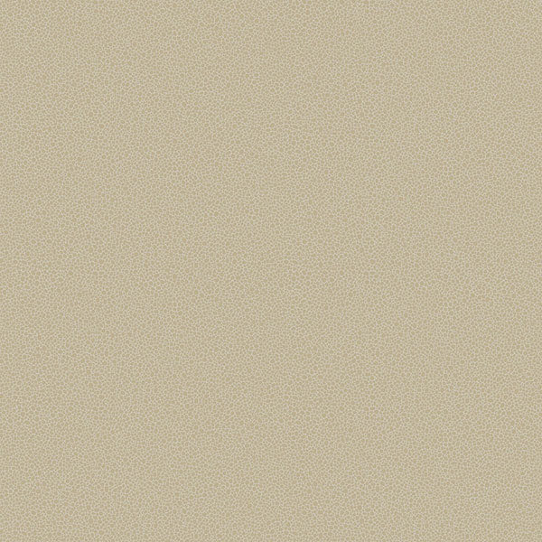 Goldstone in Stone & Gilver Wallpaper by Cole & Son