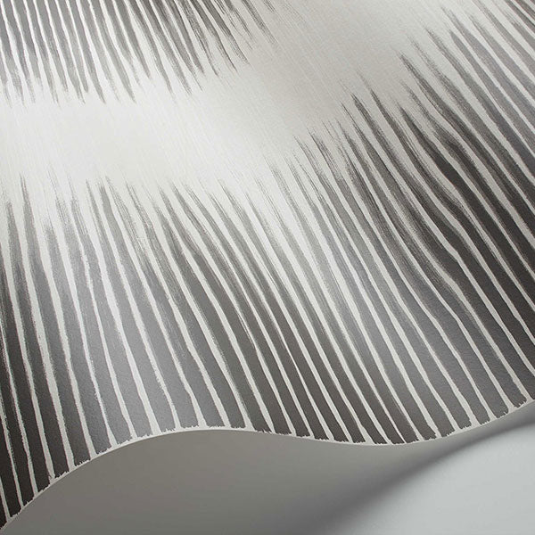 Plume in Black & White Wallpaper by Cole & Son