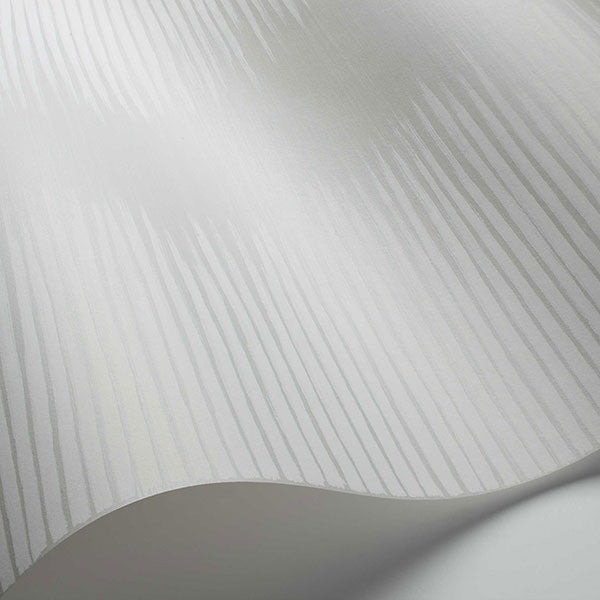 Plume in Grey & White Wallpaper by Cole & Son