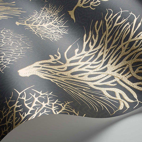 Seafern in Black & Gold Wallpaper by Cole & Son