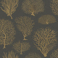Seafern in Black & Gold Wallpaper by Cole & Son