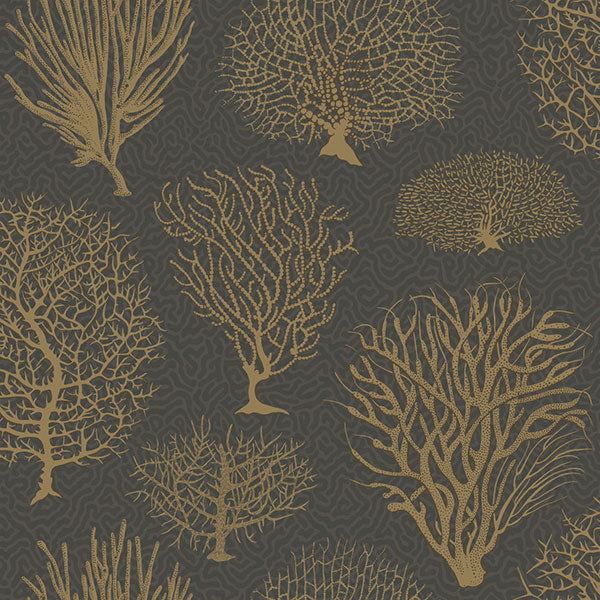 Seafern in Black & Gold Wallpaper by Cole & Son