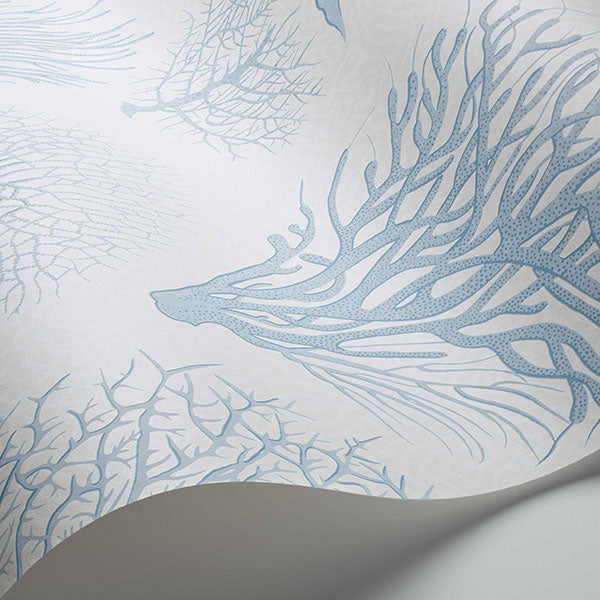 Seafern in Blue Wallpaper by Cole & Son