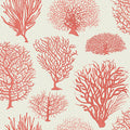 Seafern in Coral Wallpaper by Cole & Son