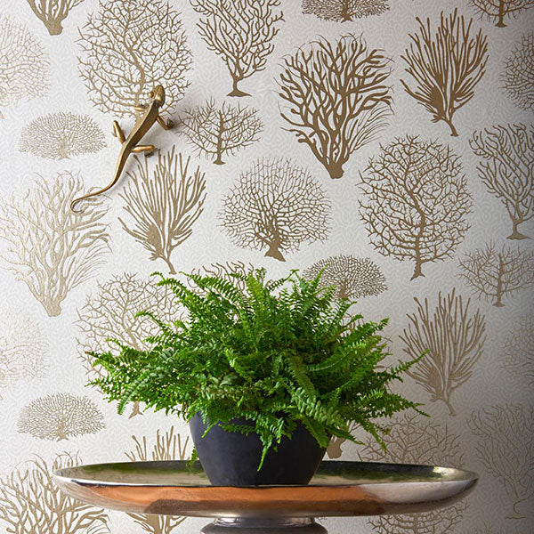 Seafern in Stone Wallpaper by Cole & Son