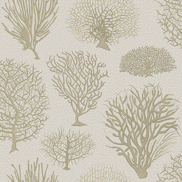 Seafern in Stone Wallpaper by Cole & Son