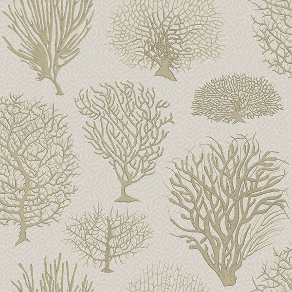 Seafern in Stone Wallpaper by Cole & Son