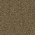 Vermicelli in Black & Bronze Wallpaper by Cole & Son
