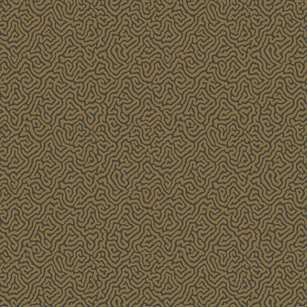 Vermicelli in Black & Bronze Wallpaper by Cole & Son