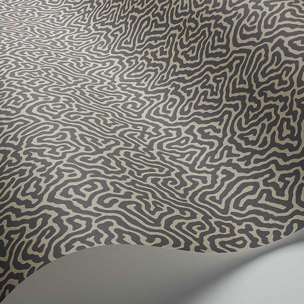 Vermicelli in Black & Linen Wallpaper by Cole & Son