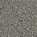 Vermicelli in Black & Linen Wallpaper by Cole & Son