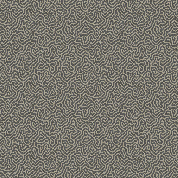 Vermicelli in Black & Linen Wallpaper by Cole & Son
