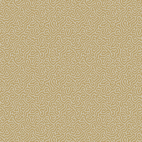 Vermicelli in Buff & Gold Wallpaper by Cole & Son