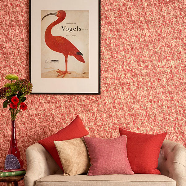 Vermicelli in Coral Wallpaper by Cole & Son