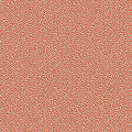 Vermicelli in Coral Wallpaper by Cole & Son