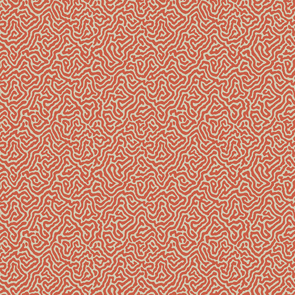 Vermicelli in Coral Wallpaper by Cole & Son