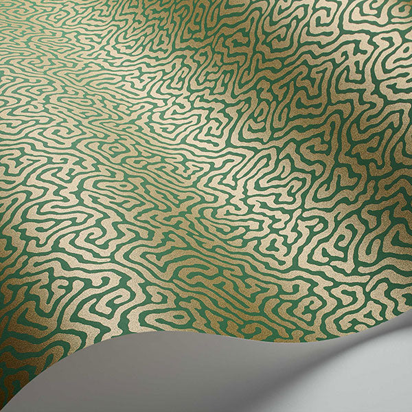 Vermicelli in Green & Gold Wallpaper by Cole & Son