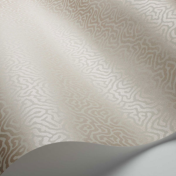 Vermicelli in Stone Wallpaper by Cole & Son