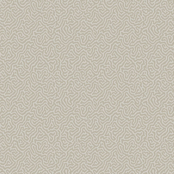 Vermicelli in Stone Wallpaper by Cole & Son