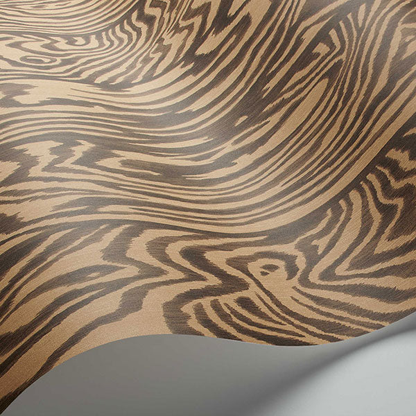 Zebrawood in Tiger Wallpaper by Cole & Son