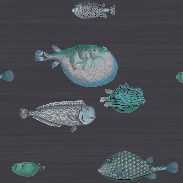 Fornasetti Acquario - Ink Wallpaper by Cole & Son