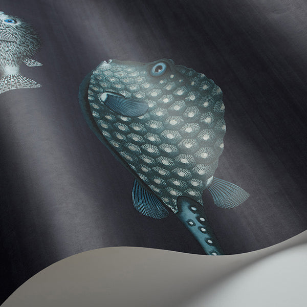 Fornasetti Acquario - Ink Wallpaper by Cole & Son