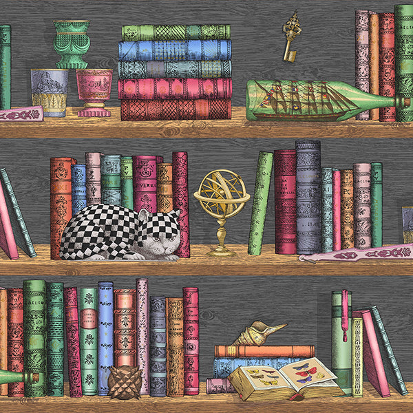 Fornasetti Libreria - Rich Multi Wallpaper by Cole & Son